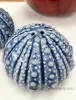 Sea Urchin Salt and Pepper Shakers