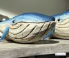 Pair of Blue Whales Figurines