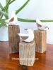 Family of 3 Hand Carved Wooden Birds on Blocks