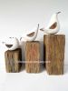 Family of 3 Hand Carved Wooden Birds on Blocks